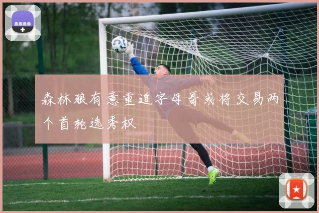 森林狼有意重追字母哥或将交易两个首轮选秀权