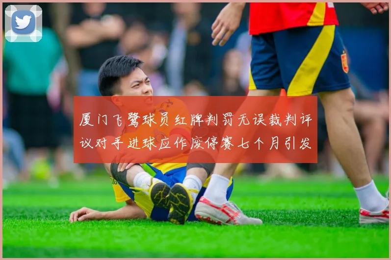 厦门飞鹭球员红牌判罚无误裁判评议对手进球应作废停赛七个月引发热议