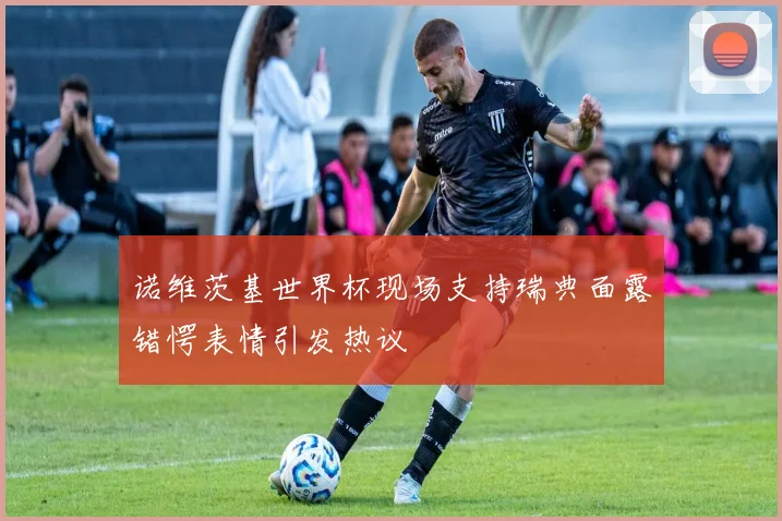 诺维茨基世界杯现场支持瑞典面露错愕表情引发热议